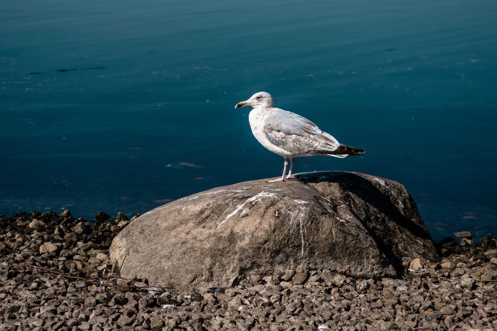 Photograph by Vjaceslavs