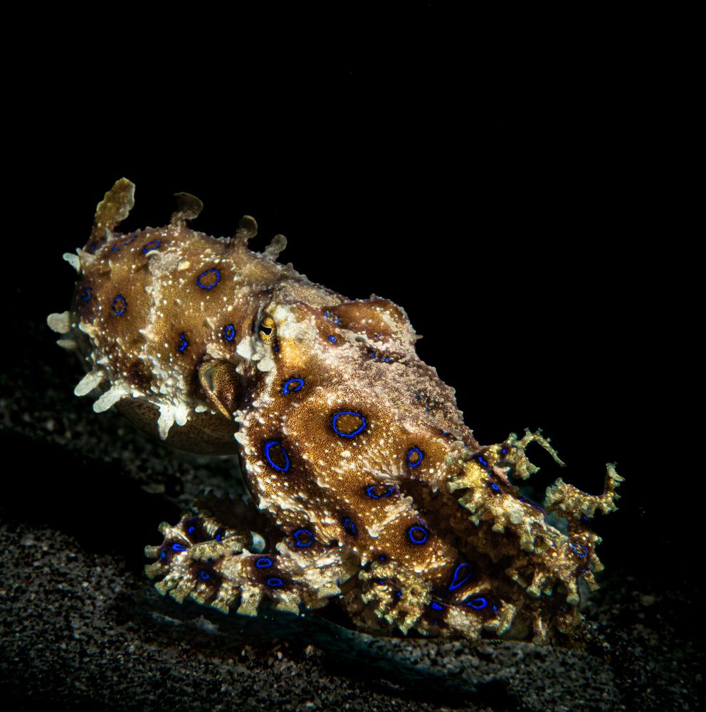 Photograph by Magali Márquez