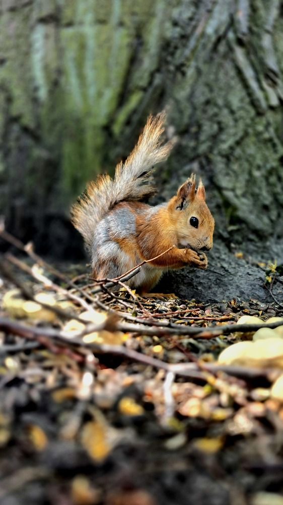 Photograph by Анна