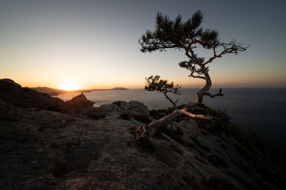 Photograph by Юрий Гаврилов