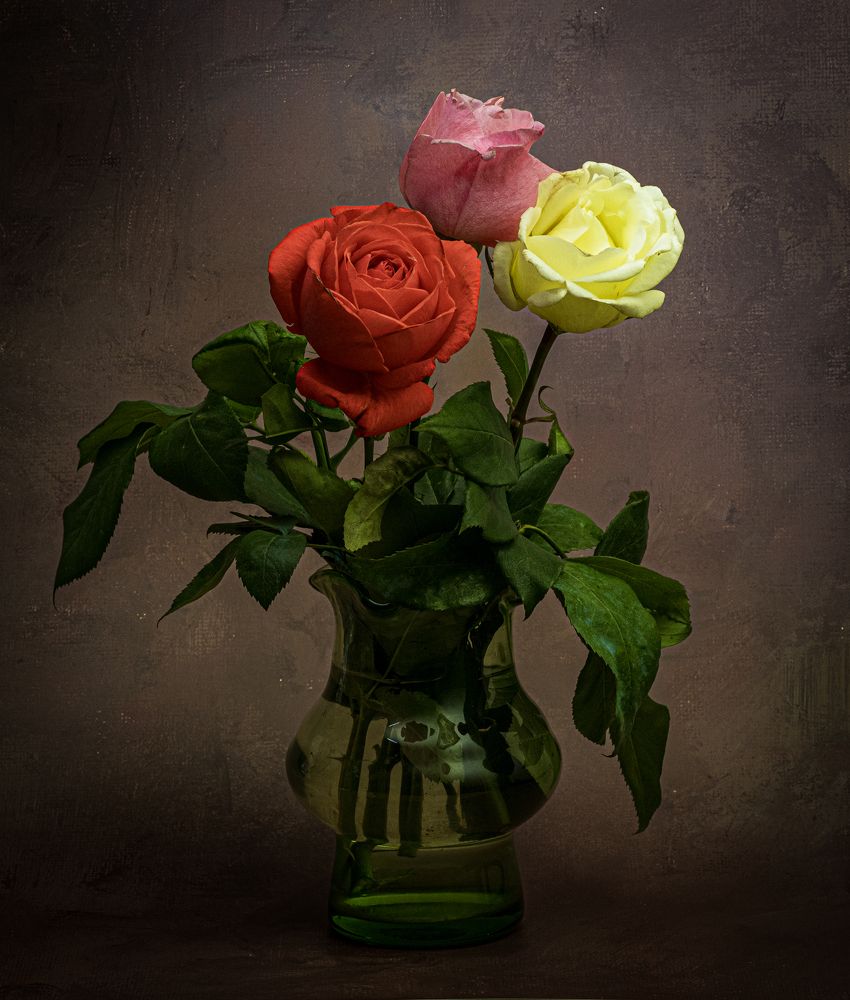 Photograph by Alex Kalpus