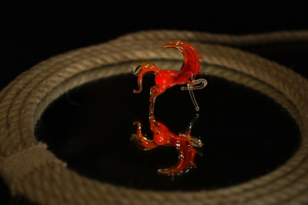 Photograph by Елена Шишкина