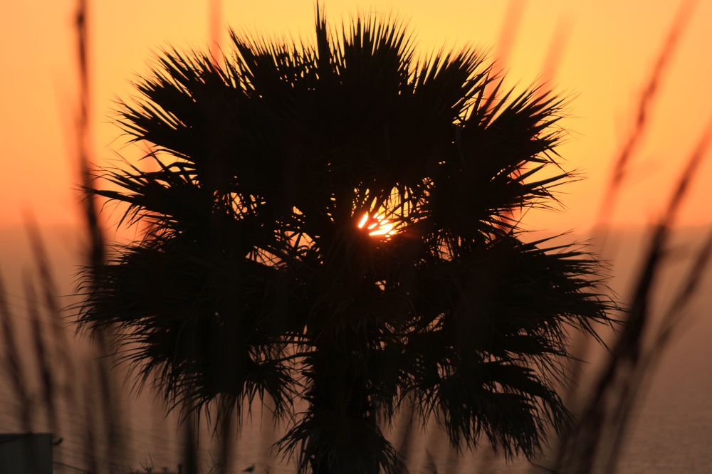 Фотография автора Яна Никольская