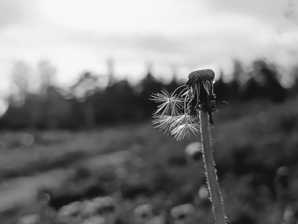 Photograph by Александра Ламанова