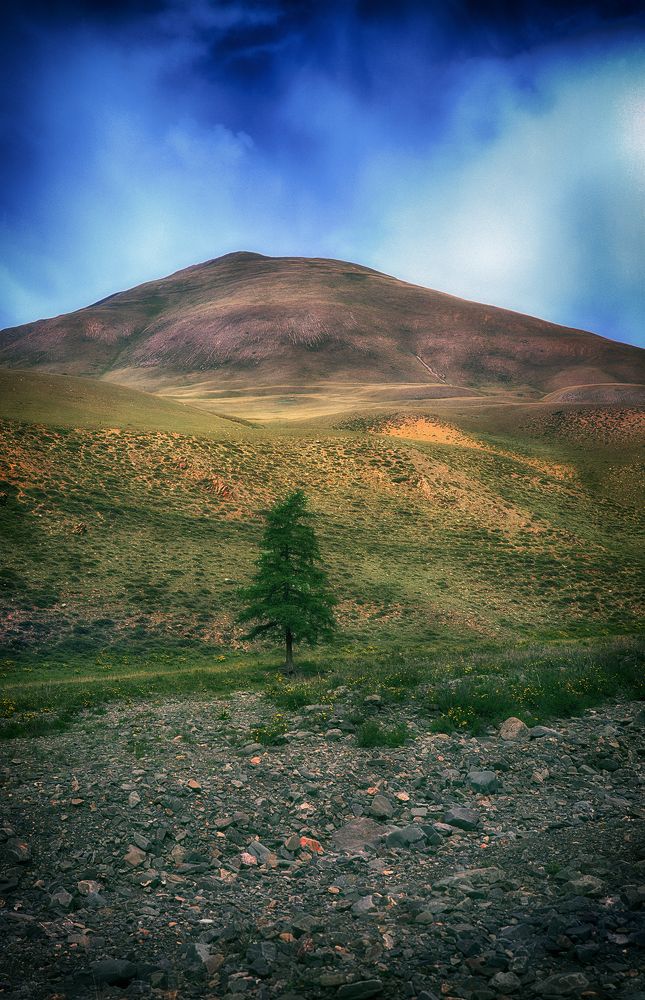 Фотография автора Павел Мартюшев