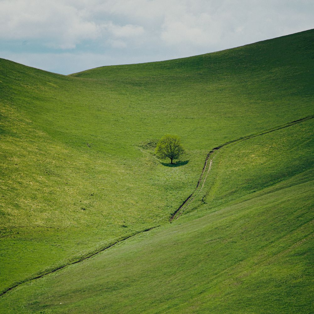 Photograph by ЕВГЕНИЙ РУДЕНКО