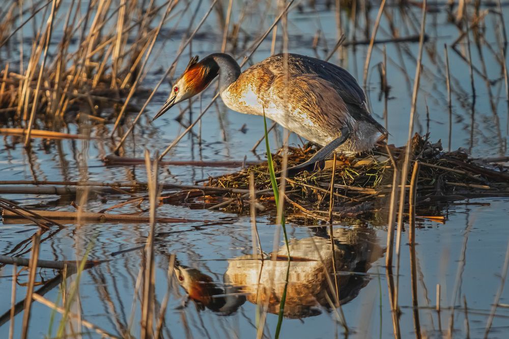 Photograph by Олег Белан