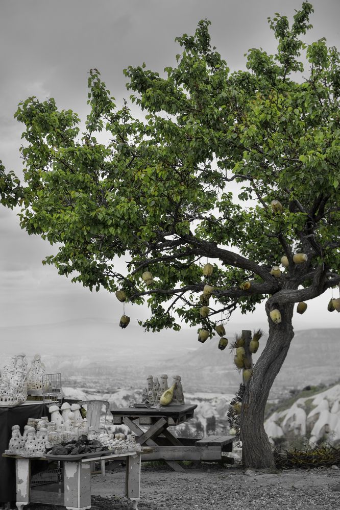 Photograph by Semeniuc Anna