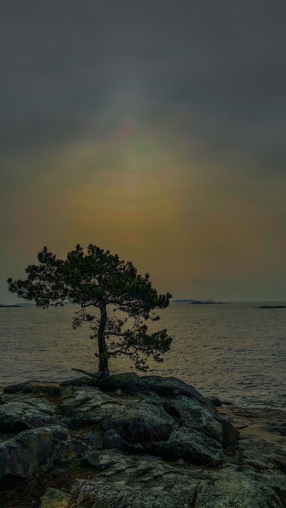 Фотография автора Elga Shtern