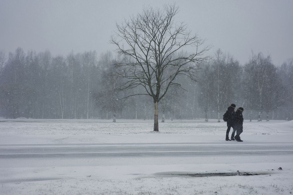 Photograph by Yana Egorova