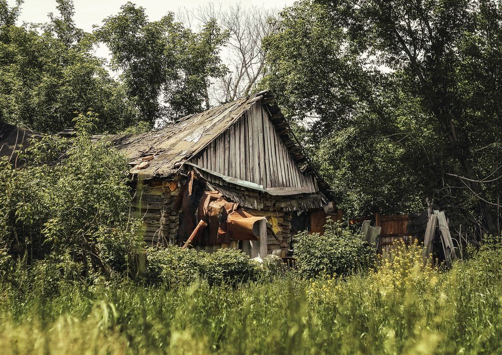 Photograph by Ольга Остапенко