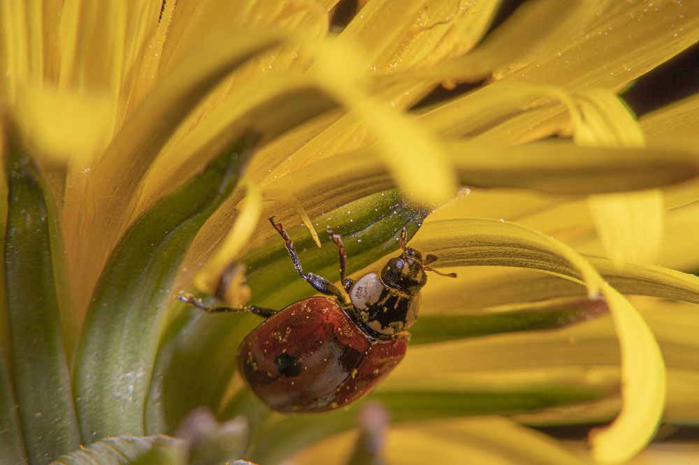 Photograph by Екатерина Бурикова
