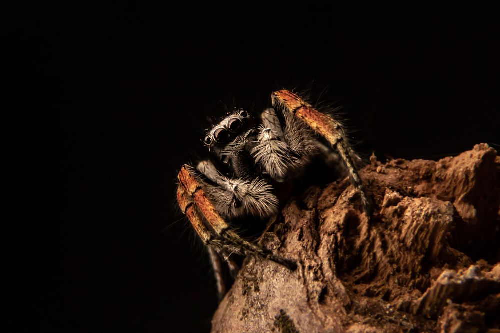 Photograph by Алёна Газукина