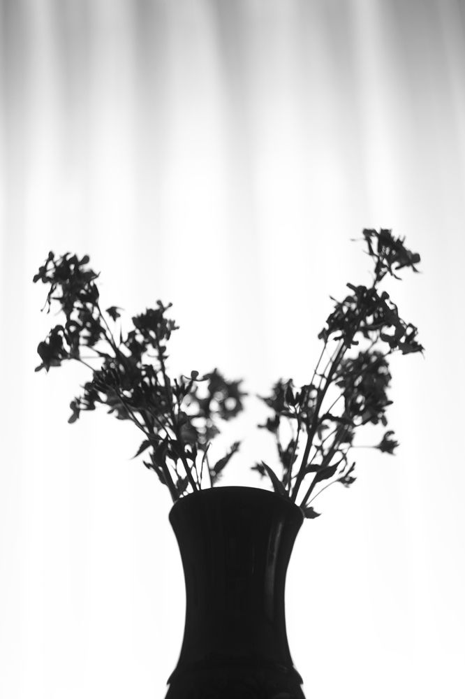 Photograph by Алексей Макаров