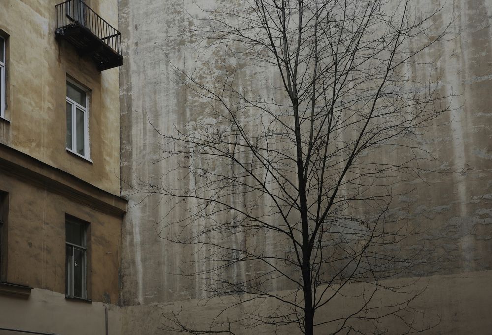 Photograph by Yana Egorova