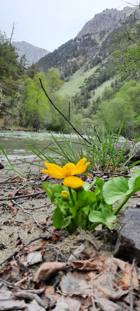 Photograph by Елена Валерьевна