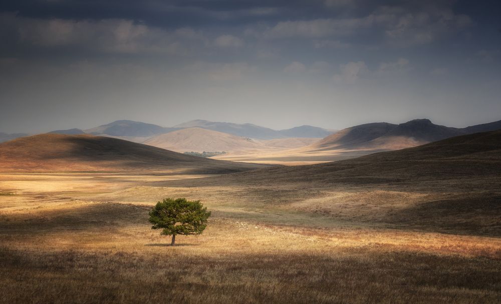 Photograph by Татьяна Бирюкова