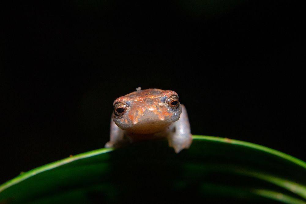 Photograph by Johan Romero Garcia