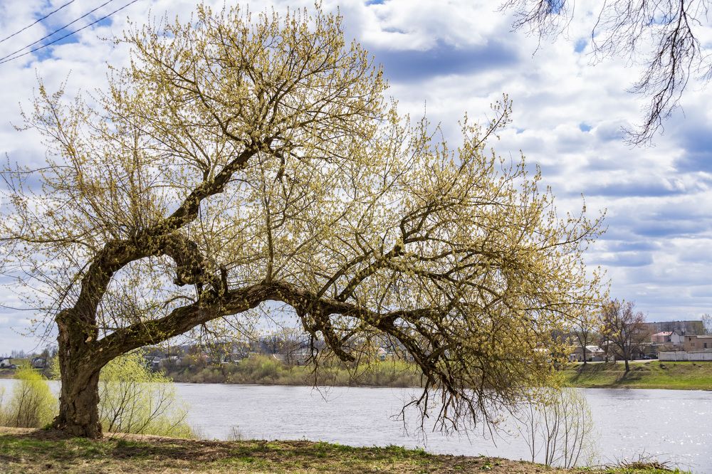 Photograph by Лилия Кондратьева