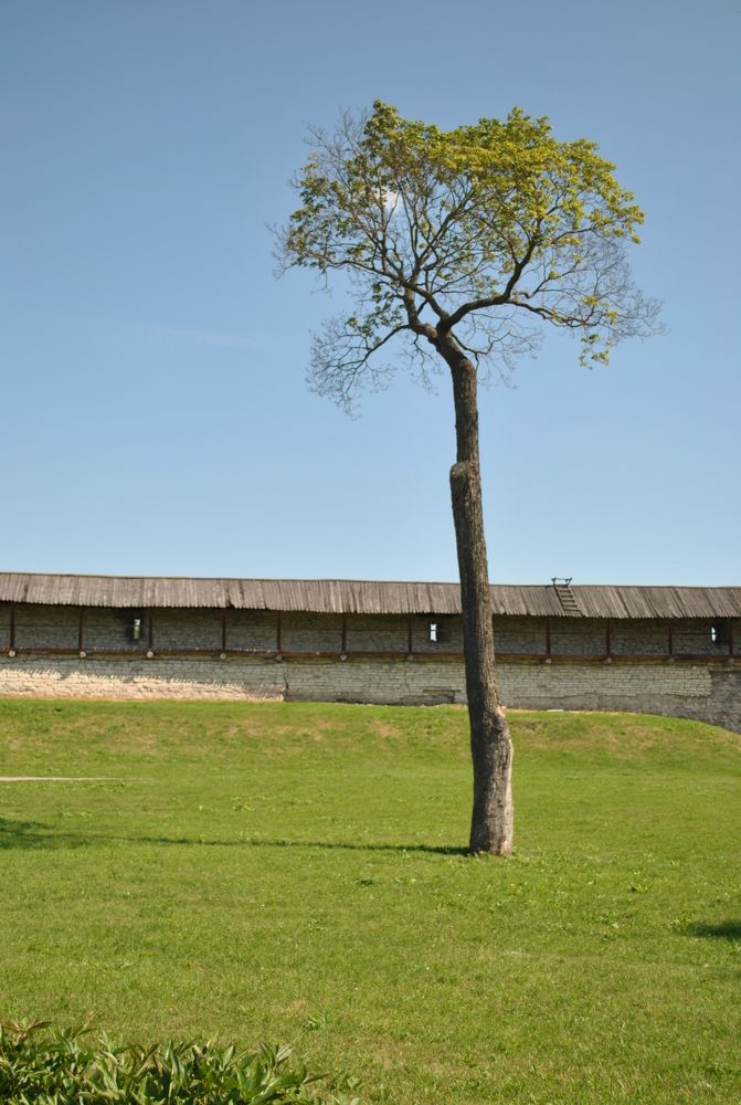 Photograph by Лилия Кондратьева