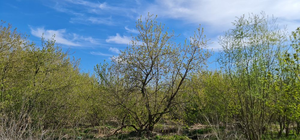 Photograph by Natasha Kim