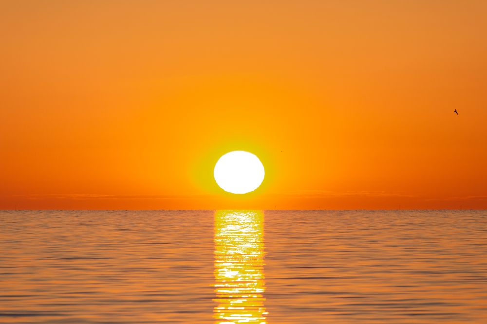 Фотография автора Alexander Pakhomov