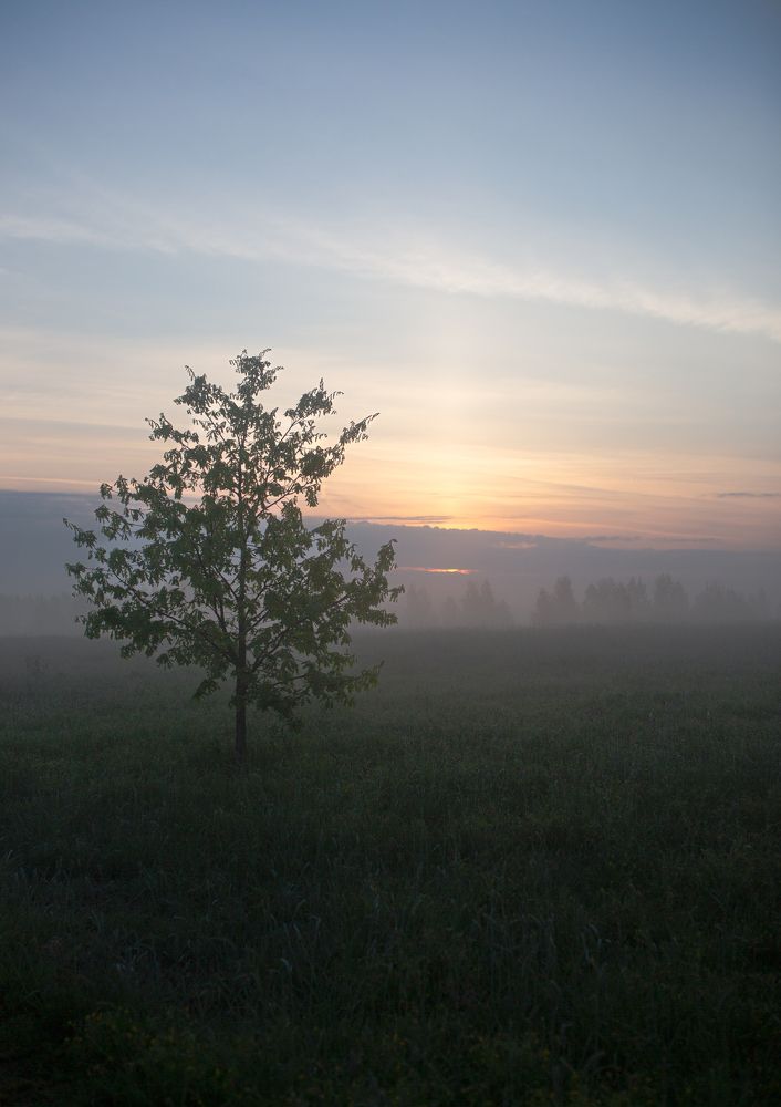 Photograph by Марина Сосновская