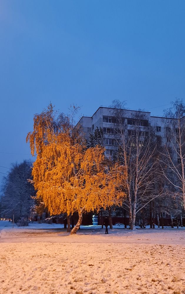 Photograph by Natasha Kim