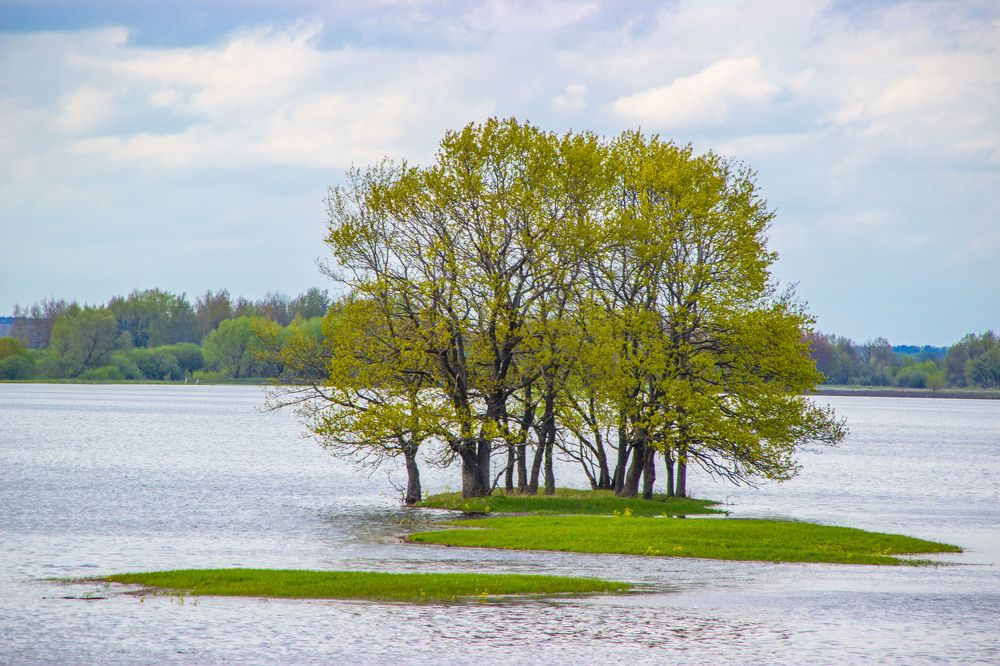 Photograph by Алексей Борисов