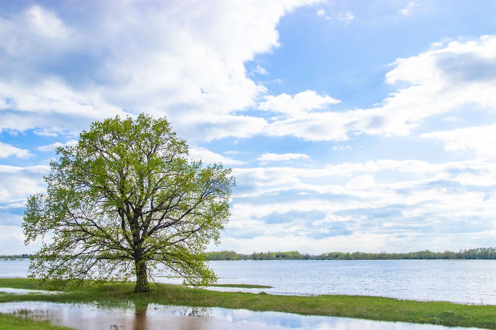 Photograph by Алексей Борисов