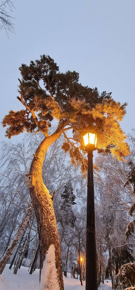 Photograph by Natasha Kim