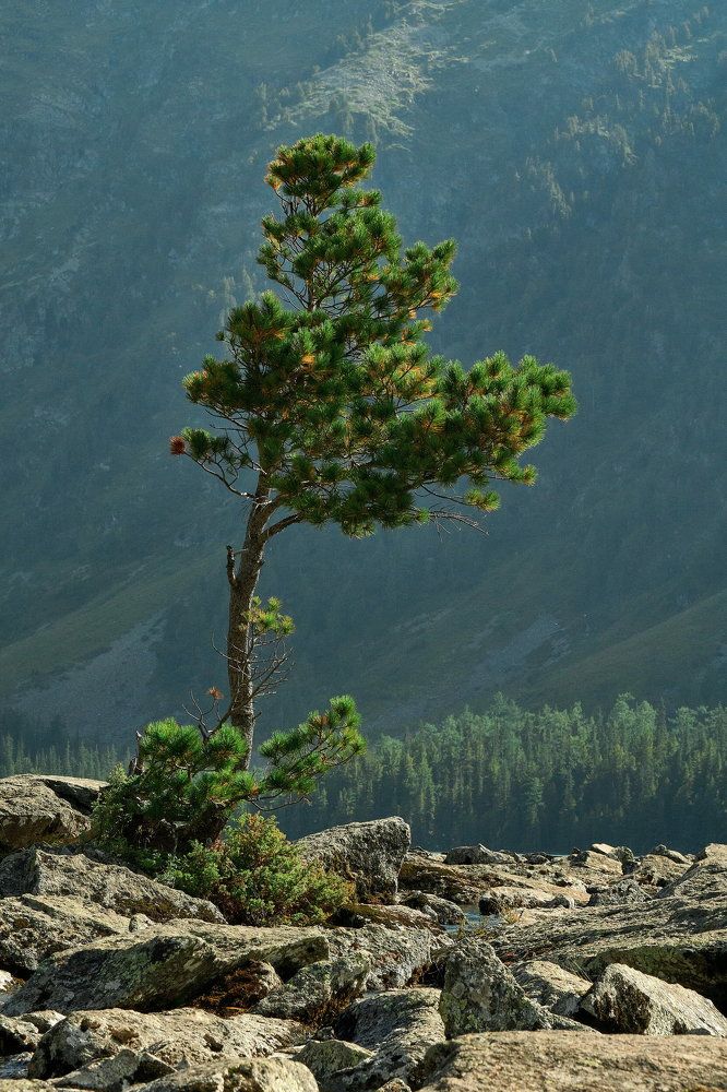 Фотография автора Сергеевич Михаил