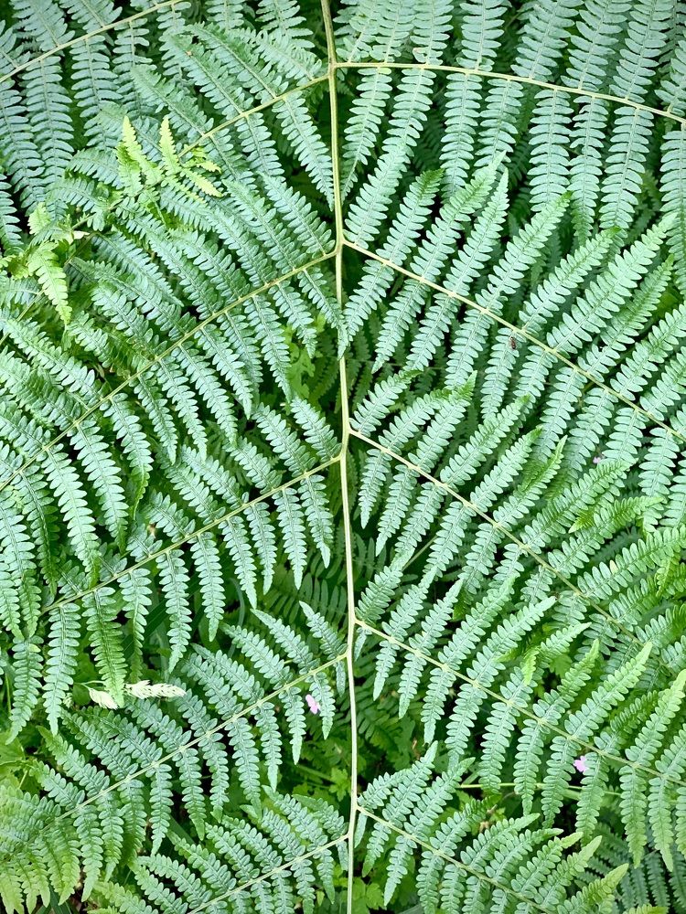 Photograph by Анастасия Мангольд