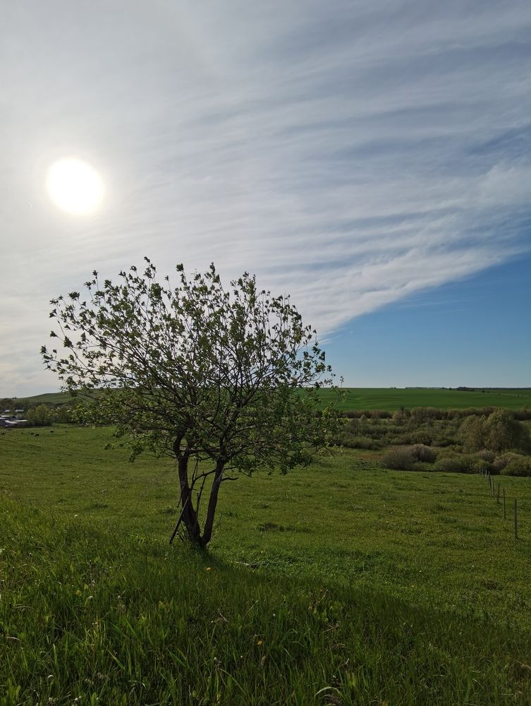 Не смотря ни на что.