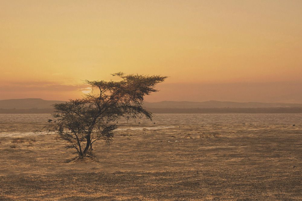 Photograph by Raed Victor Saad