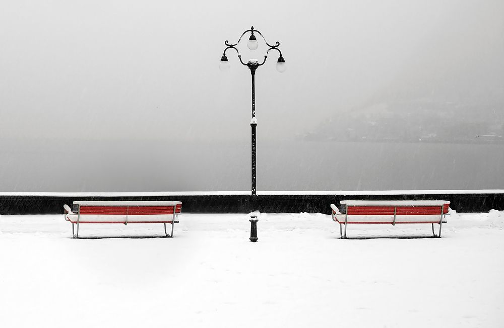 Photograph by Alex Polli