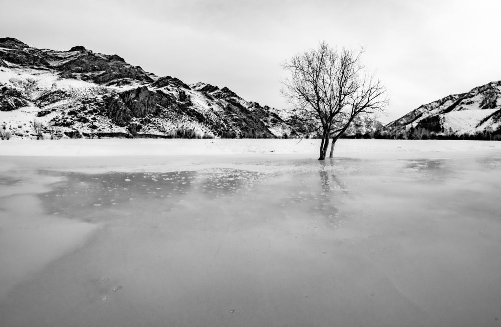 Photograph by Андрей Хаймин