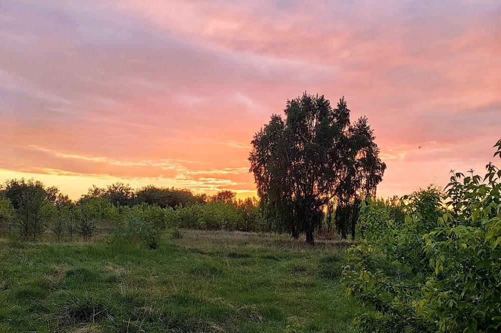 Photograph by Римма Бобрякова