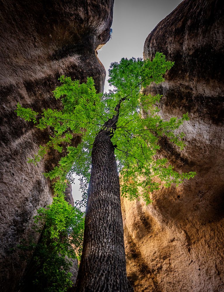 Photograph by Marcos