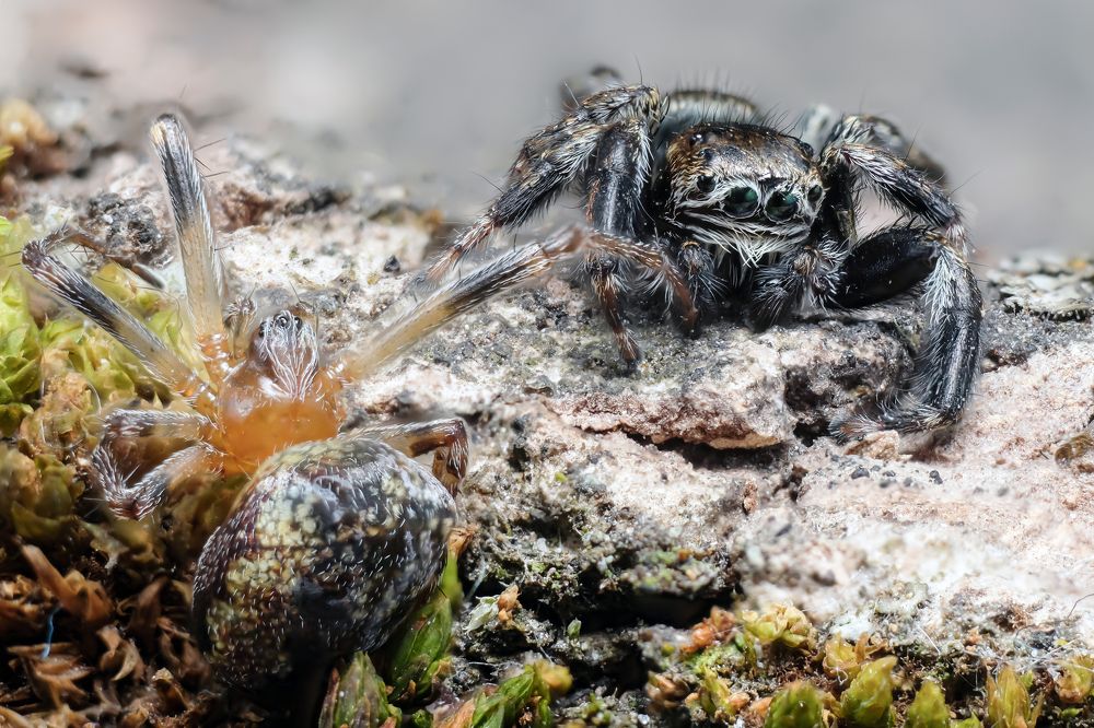 Фотография автора Роман Сергеевич