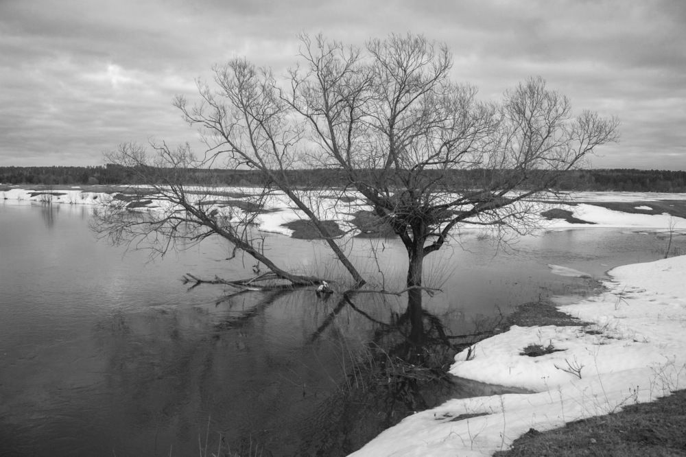 Фотография автора Алексей Борисов