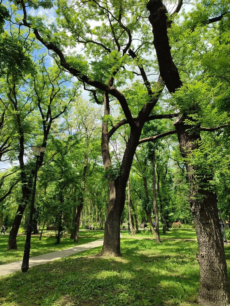 Photograph by Елена Горева