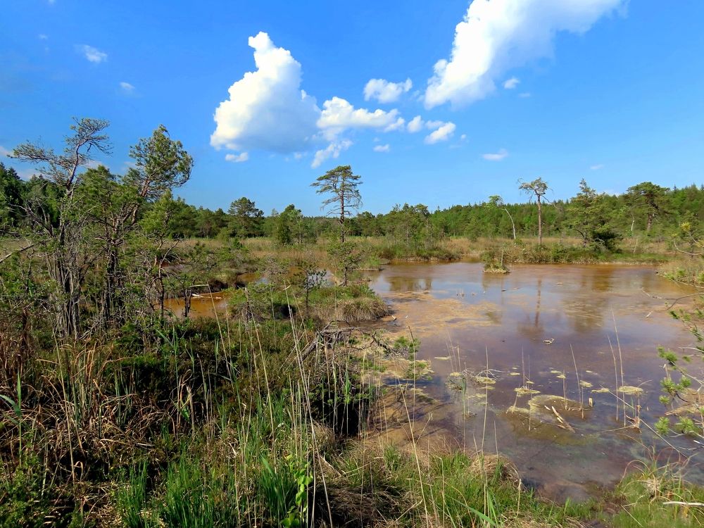 Photograph by Pjotr Alekseev