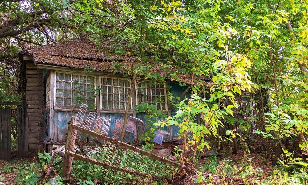 Photograph by Сергей Басов