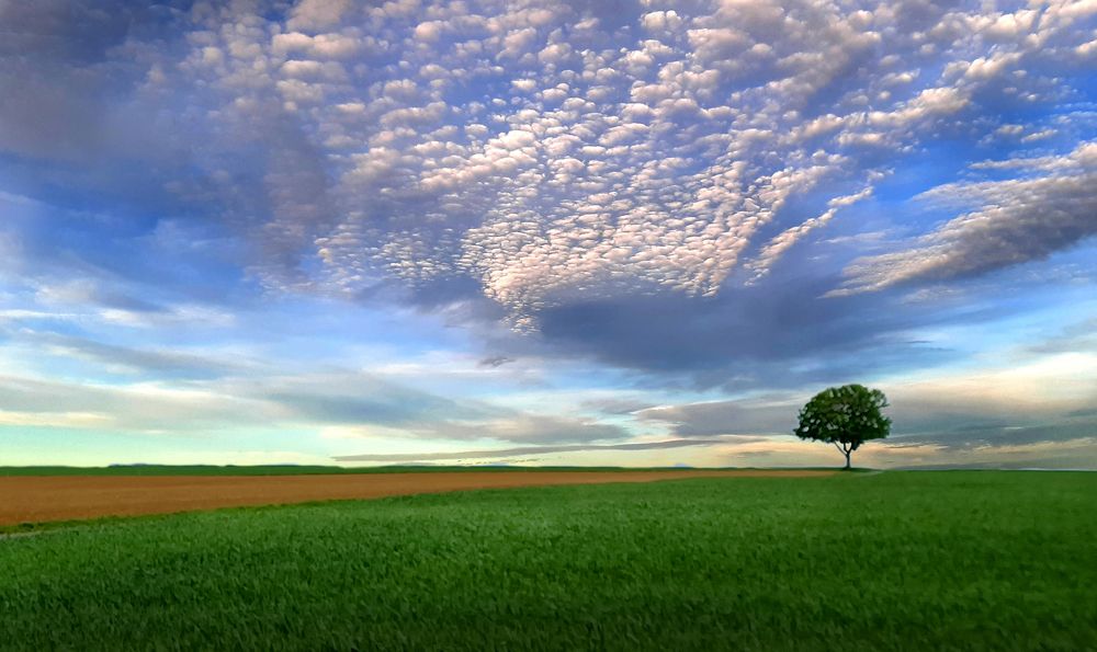 Фотография автора Meer GHERSBERG