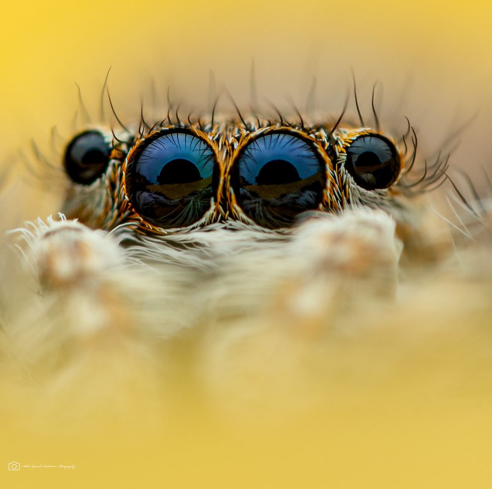 Photograph by Sabari Ganesh Sivakumar