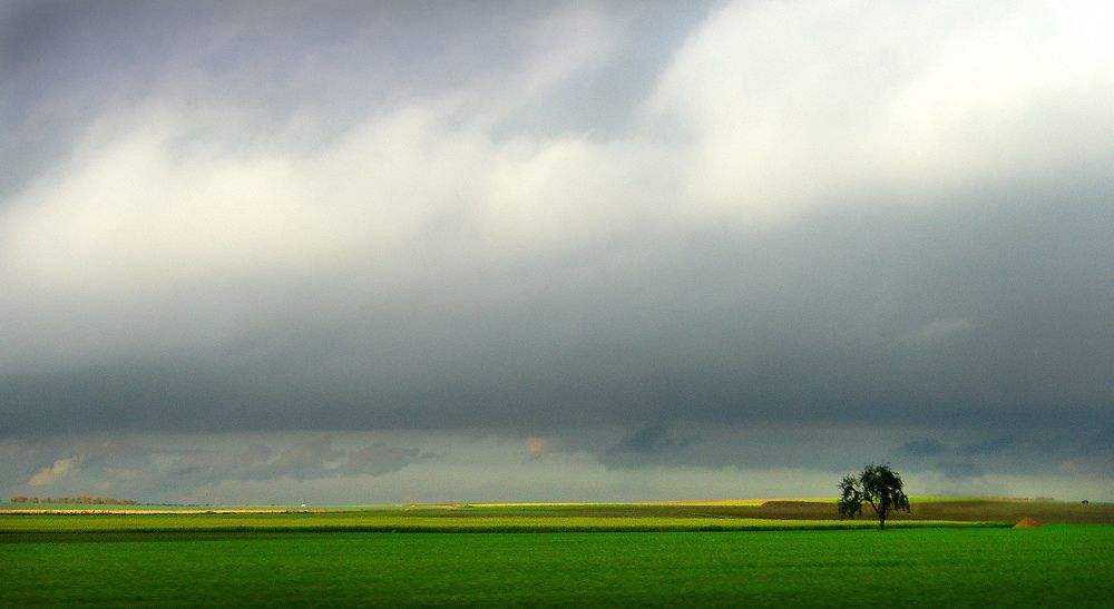 Фотография автора Meer GHERSBERG