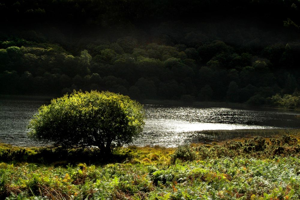 Фотография автора Meer GHERSBERG