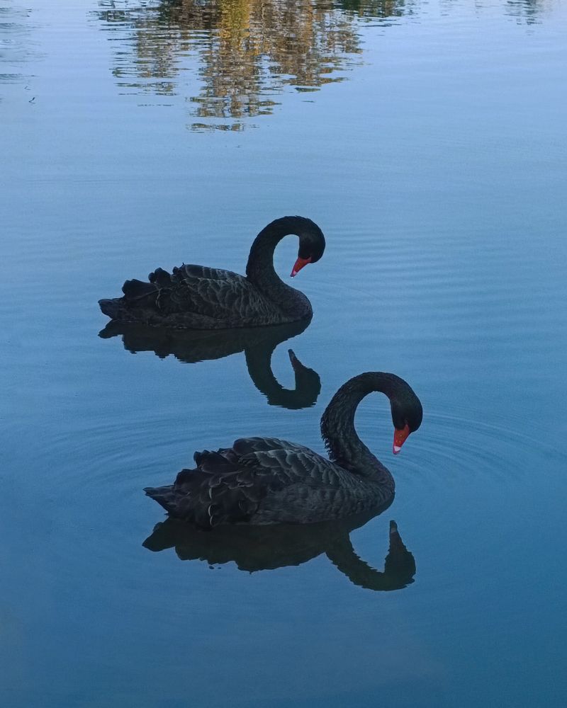 Photograph by Елена Бородина