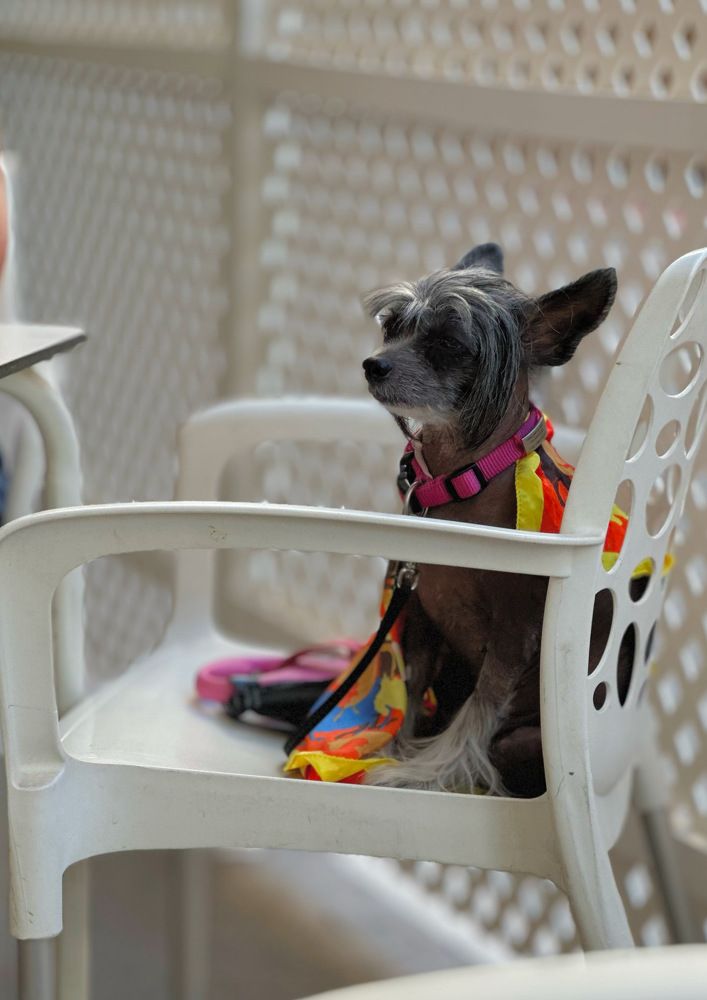 Photograph by Анастасия Игонина